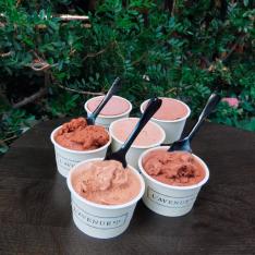 グラス エ ソルベ（ショコラ） アイス＆シャーベット 6個入