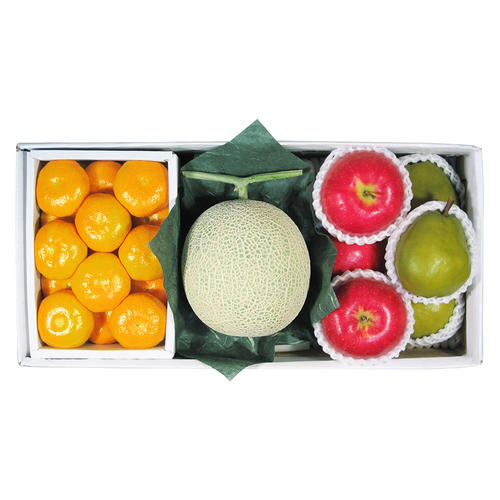 【最適な時期に収穫し、順次発送予定】ウインターフルーツスペシャル