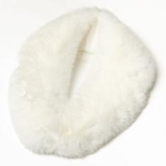 エコファーストール