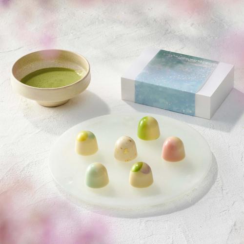 春想ふショコラ ～2層が奏でるボンボンショコラ～ 6個入