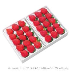 いちご詰合せ