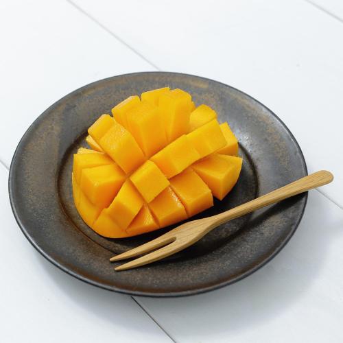 真冬のマンゴー「白銀の太陽」2Lサイズ1玉