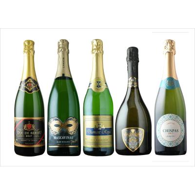 福袋 日常使いで気軽に楽しむスパークリング5本セット