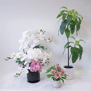 Palais Flora（パレ フローラ） | リビング・ホビー・スポーツ