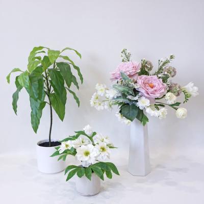 Palais Flora パレフローラ　Miel Palais Flora パレフローラ Miel ミエル（ボトルフラワー