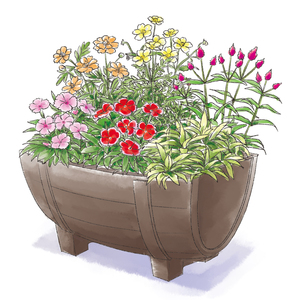 生花 鉢もの フラワー リビング ホビー 高島屋オンラインストア