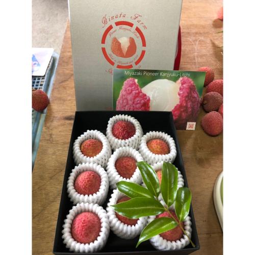 【父の日】宮崎完熟ライチM玉（7玉～9玉）（父の日カード付）