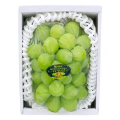 岡山県産シャインマスカット「晴王」