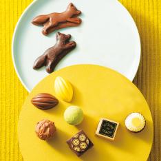 コレクションボックス