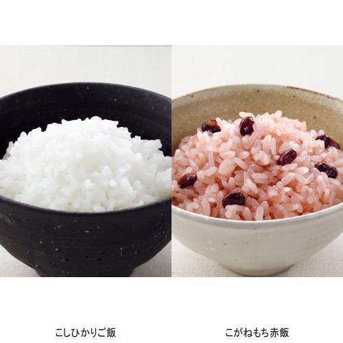 新潟県産こしひかりご飯・こがねもち赤飯