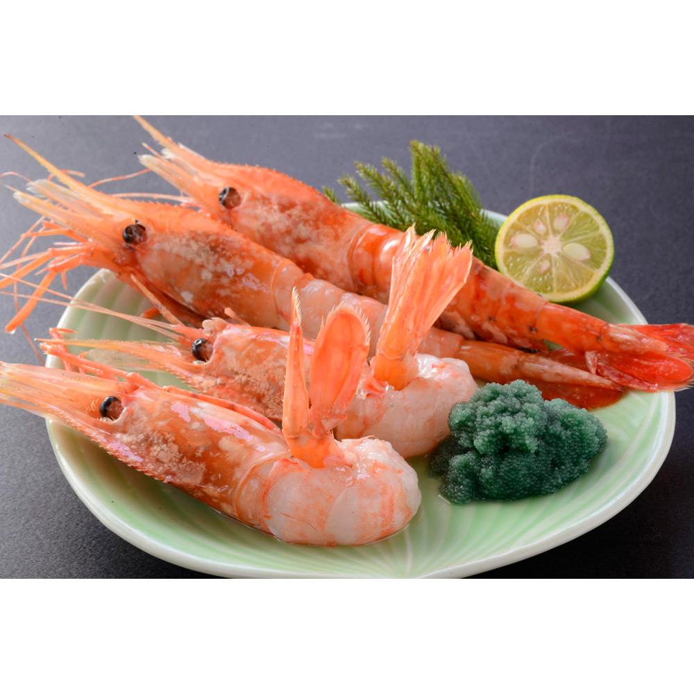 大型生ボタンエビ（500g）