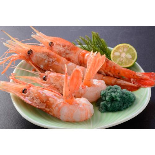 大型生ボタンエビ（500g）