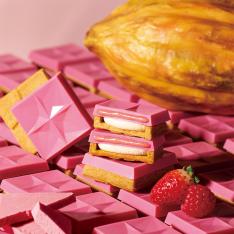 【バレンタインデー】ショコラバターサンド〈ベリー〉4個入