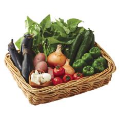 【収穫状況に応じ、順次発送予定】〈高知・山下農園〉野菜セット(栽培期間中農薬・化学肥料不使用)