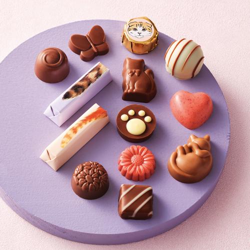 【バレンタインデー】＜ねこみゃみれ＞にゃそーてっどチョコレート