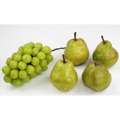 【最適な時期に収穫し、順次発送予定】山形県産シャインマスカットと西洋梨（ラ・フランス）詰合せ