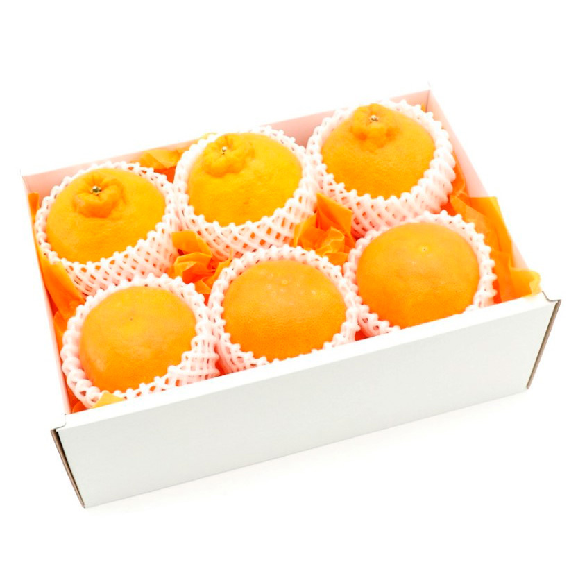 甘平＆デコポン