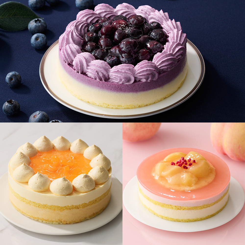 【定期便】季節のケーキ 3カ月コース（6月～8月お届け）