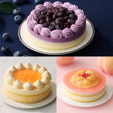 【定期便】季節のケーキ 3カ月コース（6月～8月お届け）