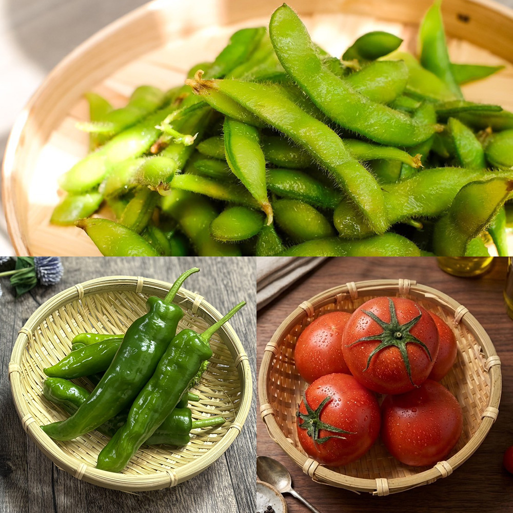 【定期便】こだわり野菜BOX（8品）旬野菜 3カ月コース（6月～8月お届け）