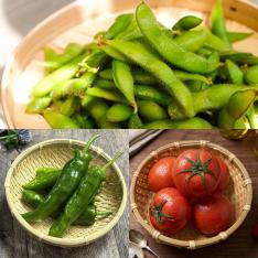 【定期便】こだわり野菜BOX（8品）旬野菜 3カ月コース（6月～8月お届け）