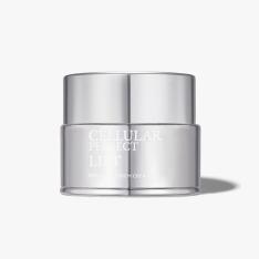 PLリッチクリーム