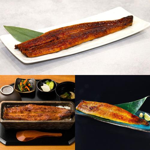 【定期便】銘店のうなぎ 3カ月コース（6月～8月お届け）