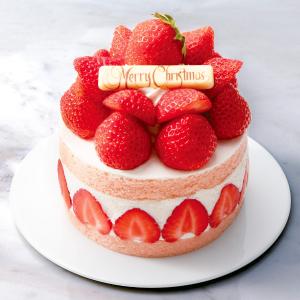 天使の壁掛け　お値下げ致しました　クリスマスセール 2025年最新】エンジェル 壁掛けの人気アイテム - メルカリ