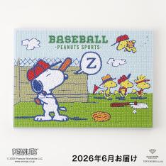 【定期便】＜ダイヤモンドフィックス＞スヌーピーコレクション 3カ月コース（6月～8月お届け）