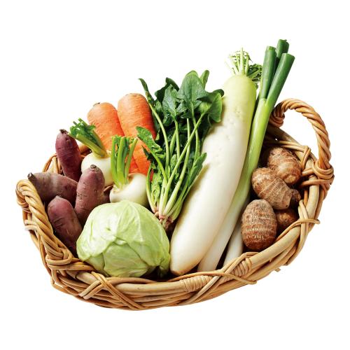 【最適な時期に収穫し、順次発送予定】〈高知・山下農園〉野菜セット(栽培期間中農薬・化学肥料不使用)
