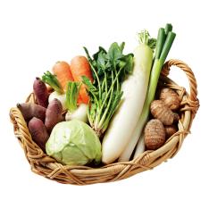 【最適な時期に収穫し、順次発送予定】〈高知・山下農園〉野菜セット(栽培期間中農薬・化学肥料不使用)