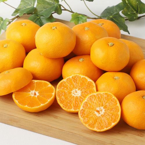 高知県産または愛媛県産 みかん　5kg