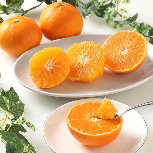 紅まどんな12個セット