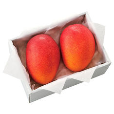 【母の日】宮崎県産マンゴー2個セット