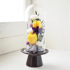 TENMOKU（テンモク）