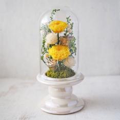 あおい（黄白）