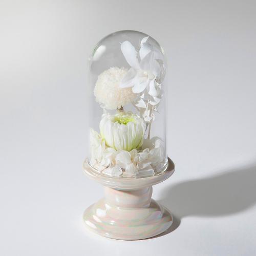 供花プリザーブドフラワー ホワイト一輪菊・ピンポンマム