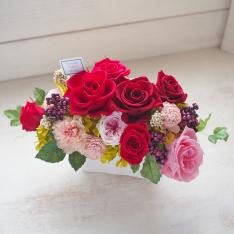 ブランL（レッド）