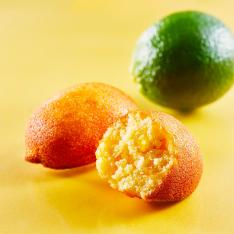 東京レモンパウンド8個入