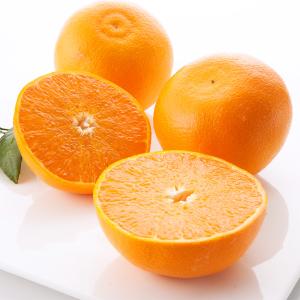 アイアン製フルーツコンポート アイアン製フルーツコンポート