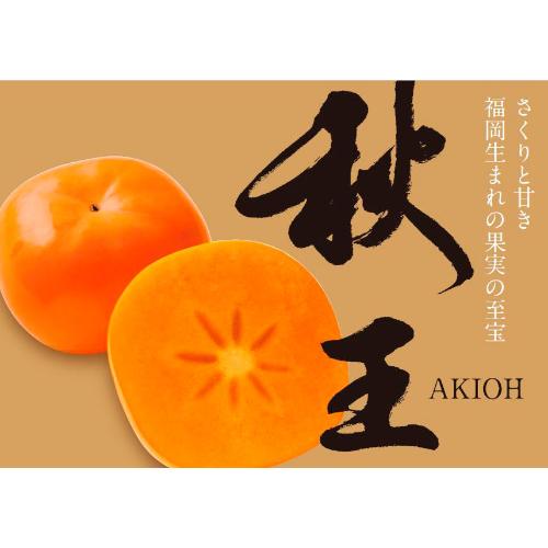 福岡県産オリジナル品種 秋王柿 3kg(8玉~12玉入)
