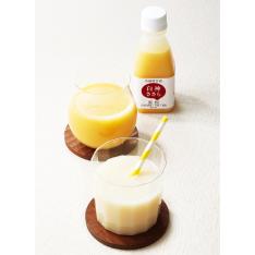 〈白神手づくり工房〉乳酸菌甘酒「白神ささら」セット