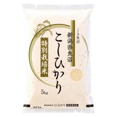 新潟県魚沼産こしひかり（特別栽培米）