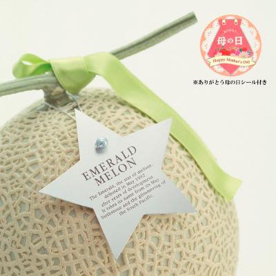 【母の日】＜JA高知県＞エメラルドメロン 星の首飾り＆母の日シール付き