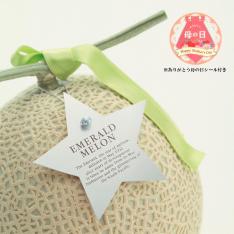 【母の日】＜JA高知県＞エメラルドメロン 星の首飾り＆母の日シール付き