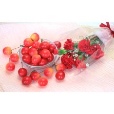 【母の日】さくらんぼとカーネーションミニ花束