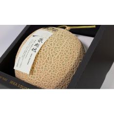 【母の日】一果相伝特選マスクメロン（造花カーネーション＆レター付）