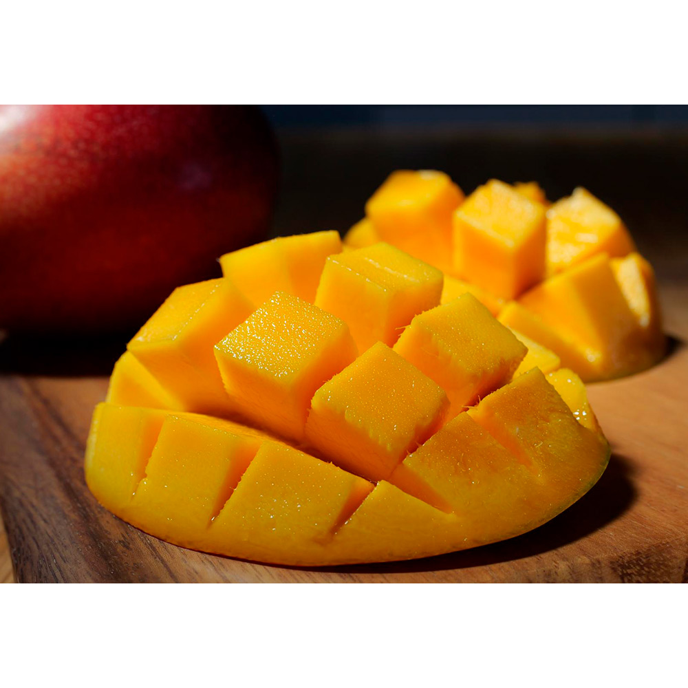 【母の日】太陽タマゴ2L×2玉ギフト（造花カーネーション＆レター付）