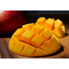 【母の日】太陽タマゴ2L×2玉ギフト（造花カーネーション＆レター付）