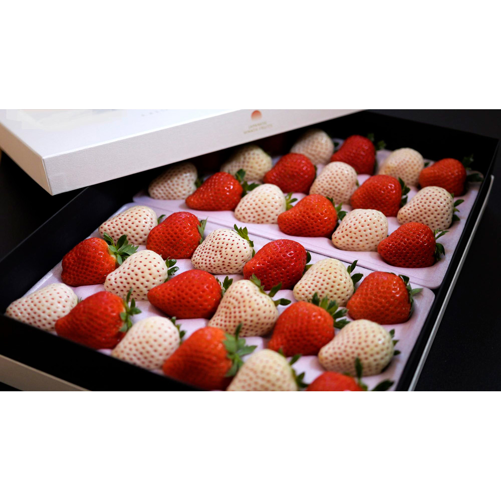 【母の日】宮崎完熟「紅白苺」歌舞伎座ギフト（造花カーネーション＆レター付）